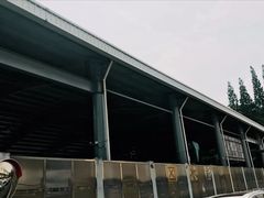 -小海豚国际游泳培训(长宁龙之梦酒店)