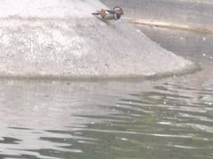 -太原动物园