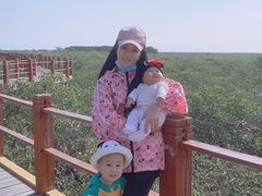 -北海金海湾红树林生态旅游区