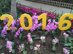 兰花展1/9-沈阳植物园