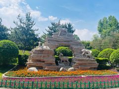 -青藏高原野生动物园