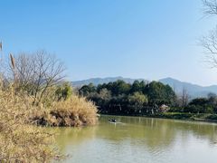 -西溪国家湿地公园