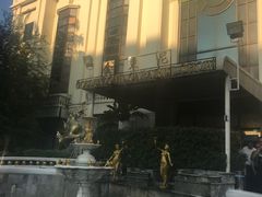-金东尼人妖秀