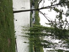 -昆山城市生态森林公园