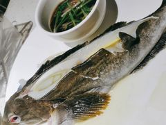 -77号渔船·蒸海鲜青岛菜(积米崖店)