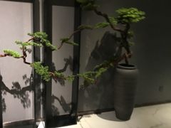 大堂-璞·澐间影院式足道SPA(尚悦湾店)