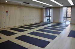 -酉嘉瑜伽YO+YOGA