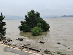 -深圳湾公园(南山区)