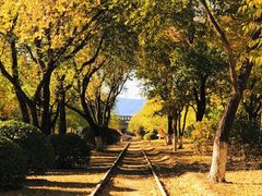 -永定河休闲森林公园