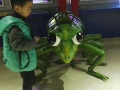 -上海昆虫博物馆