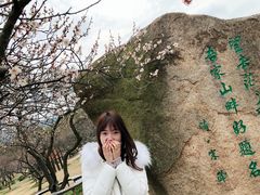 -香雪海