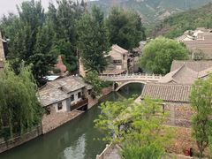 -萝卜丝饼