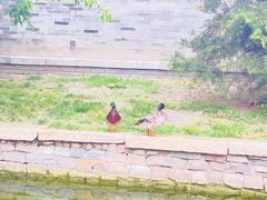 -三里河公园
