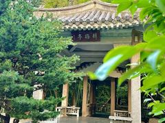 -南京古林公园
