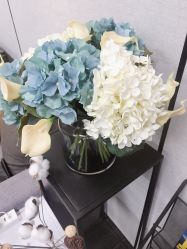 -MJ skin care国际皮肤管理中心