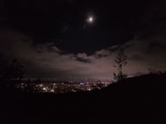 -长虫山生态公园风景林