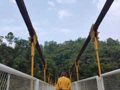 -川西竹海景区