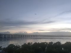 -宝安西湾红树林湿地公园