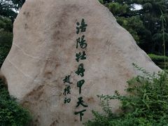 -西苑公园