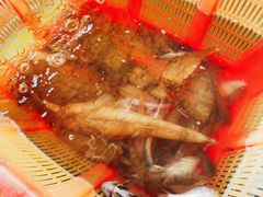-沙头涌渔栏海鲜餐厅