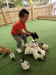 -萌宠亲子动物乐园(槐房万达店)