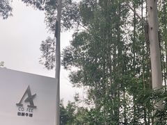 -桉树林A coffee 森林餐厅(三圣乡店)
