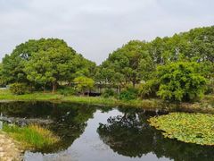 -长广溪湿地公园