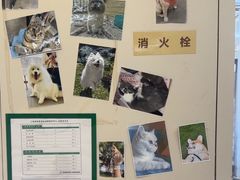 -爱妮康宠物医院·干细胞免疫细胞·肿瘤·心脏(张江店)