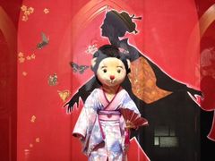 -济州岛泰迪熊博物馆