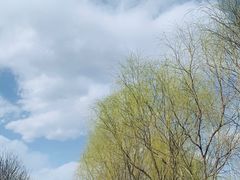 -永定河休闲森林公园