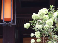 -香积寺