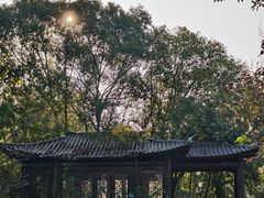 -海珠湖公园