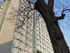 -中央民族大学