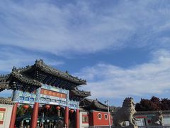 -曹州牡丹园
