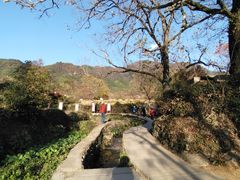 -塔川景区