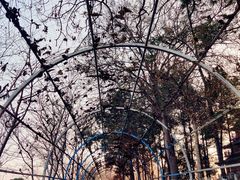 -凤凰沟景区