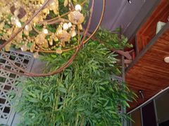-湘当爱·鲜煮现炒(松岗立业路店)