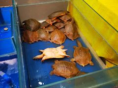 -鼎记酒楼(雁南一路店)