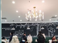 -安格丽娜·狗咖·猫咖羊驼咖(春熙路百盛商场店)