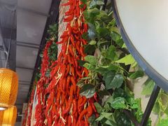 -雲蜀龙阁·金牌水煮鱼(方庄店)