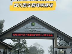 -碧峰峡风景区