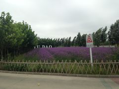 -渔岛海洋度假区