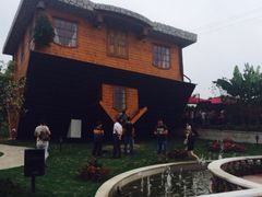 iphone_upload_pic-金山农民画村-枫泾波兰倒置屋
