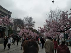 -南门头上美食街