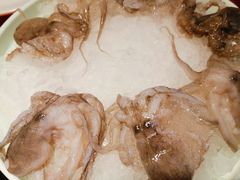 -二荆条·蜀鲜汇城市森林火锅