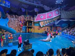 -烟台海昌鲸鲨海洋公园