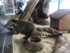 -昆明大悦城未来动物城(螺蛳湾中心店)