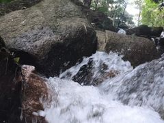 -火炉山森林公园