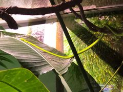 -正佳雨林生态植物园