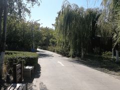 -绿堤公园